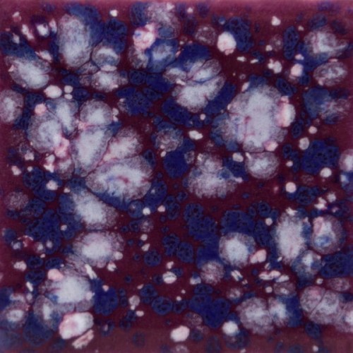 szkliwo krystaliczne Plum Jelly S2704