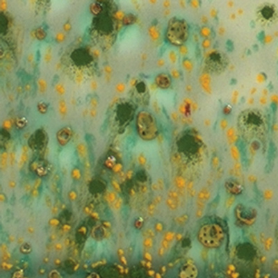 S2714_Herb_Garden