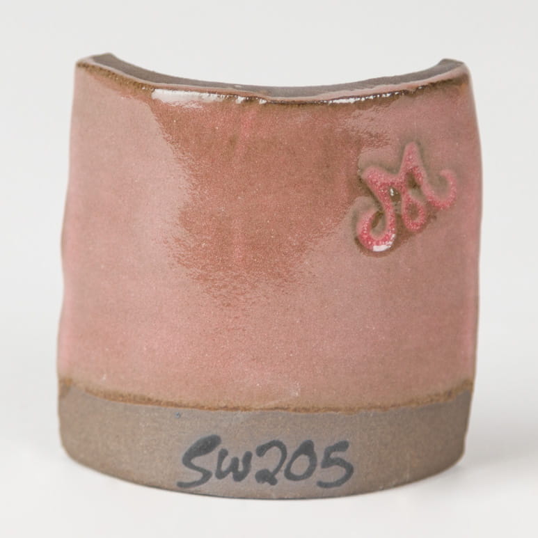 sw-205_dark_clay_web.jpg
