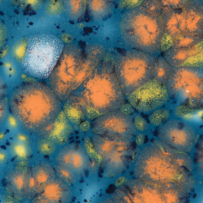 08-CG983_Koi_Pond