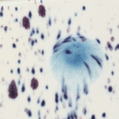 szkliwo  Peacock Eyes S 2701