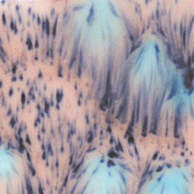 S2702_Northern_Lights