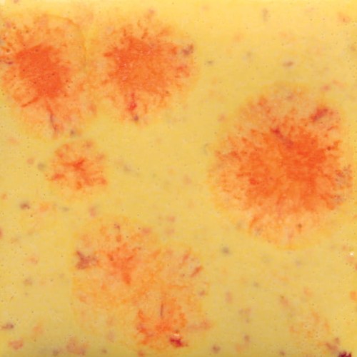 szkliwo krystaliczne Mayco Jungle Gems - Citrus Splash S 2729