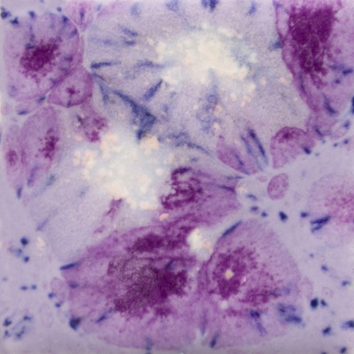 szkliwo krystaliczne Purple Reign CG 1006