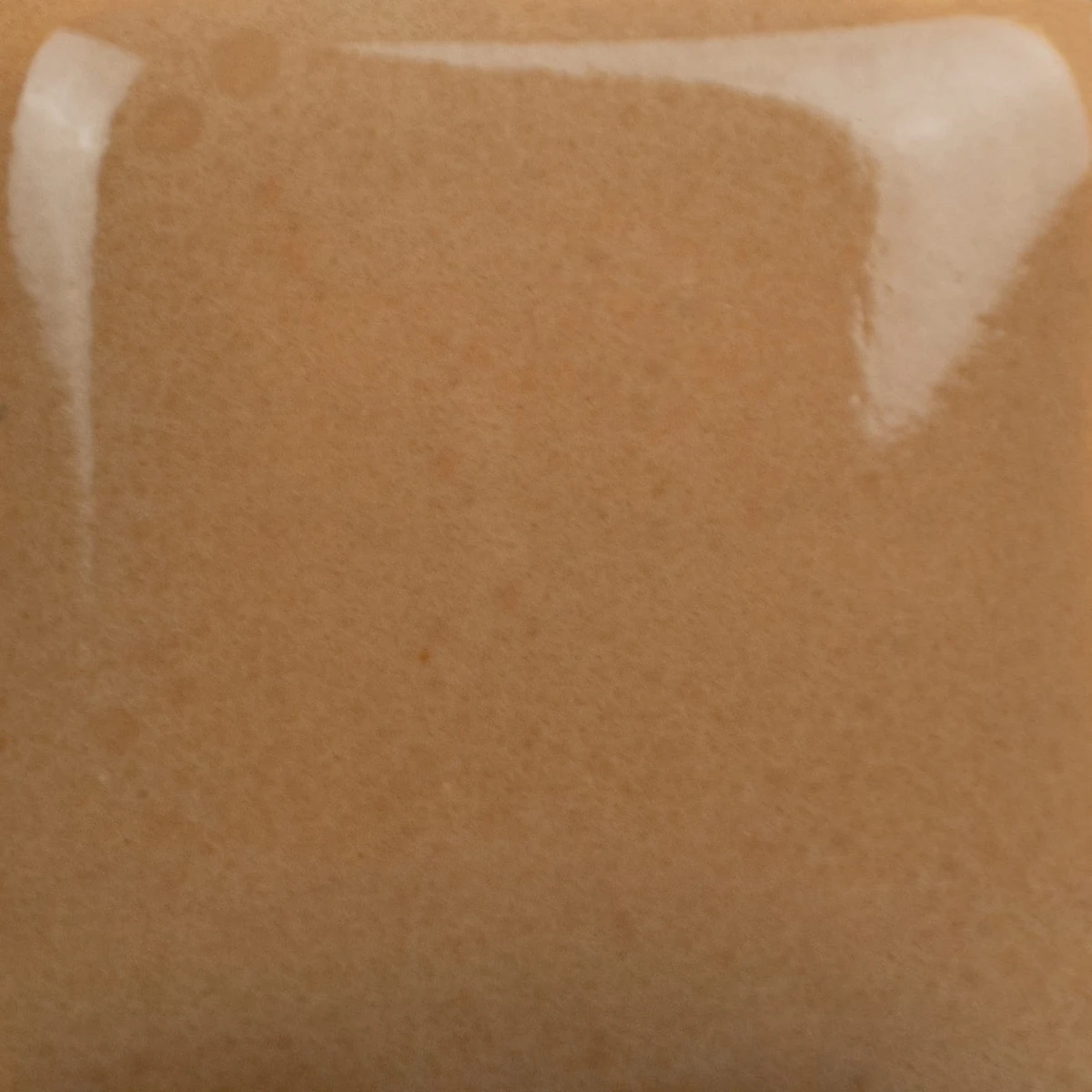 SC-41_cone6.jpg