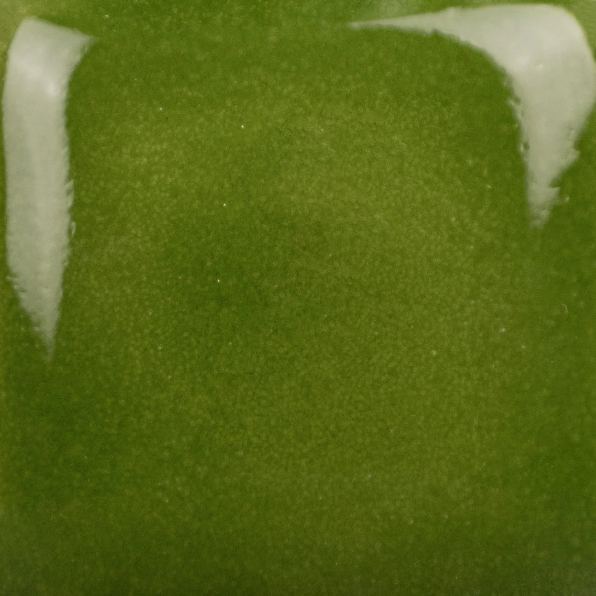 SC-26_cone6.jpg