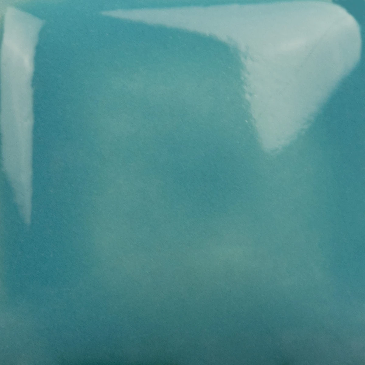 SC-28.jpg