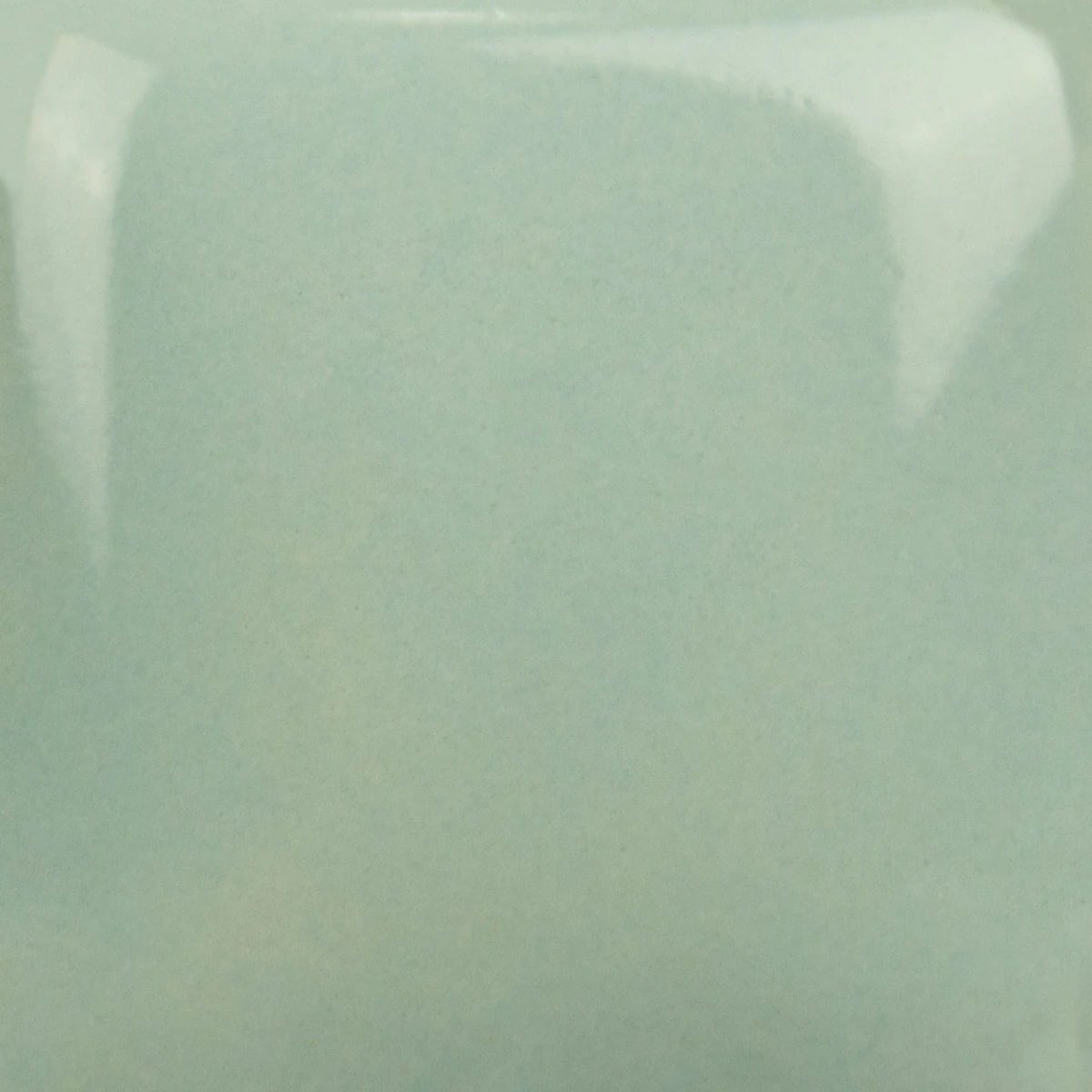 SC-91.jpg