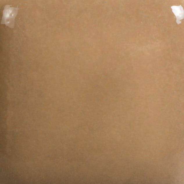 fn-22.jpg
