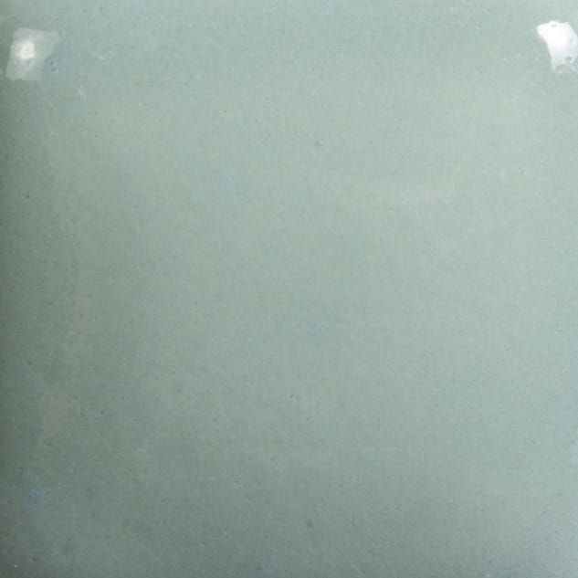 fn_46_sage_1220.jpg