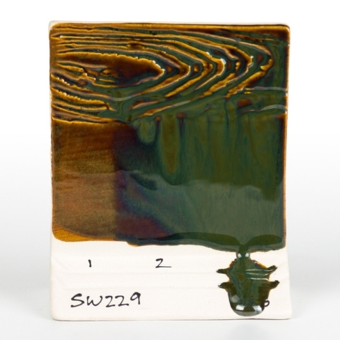 SW 229.jpg