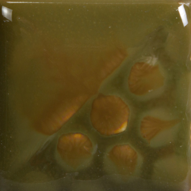 el-117_1220.jpg