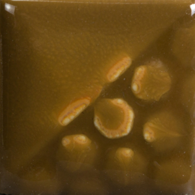 EL141-Grass-1220.jpg