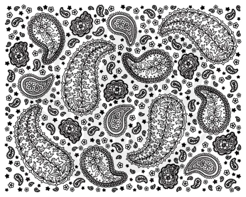 sito do sitodruku PAISLEY DSS 203