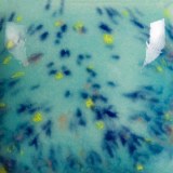 thumbsec-speckled-jaded-16-oz-