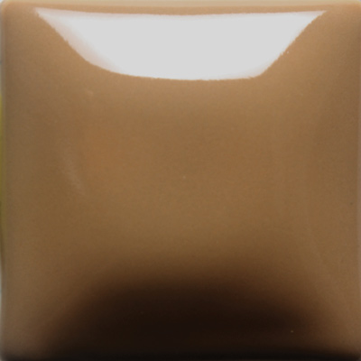 FN22_Tan