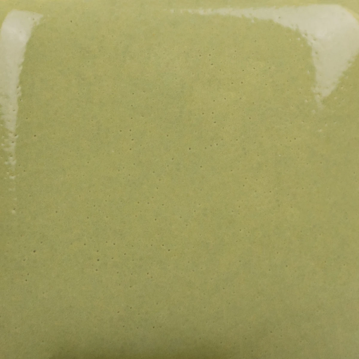 SC-79_cone6.jpg
