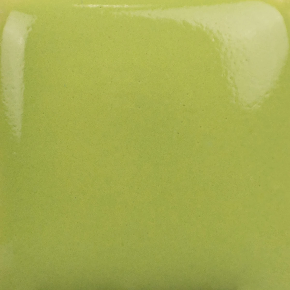 SC-78_cone6.jpg