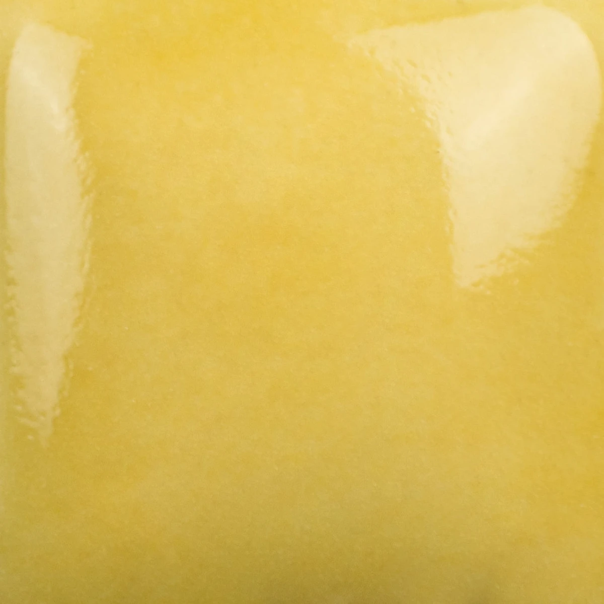 SC-5_cone6.jpg
