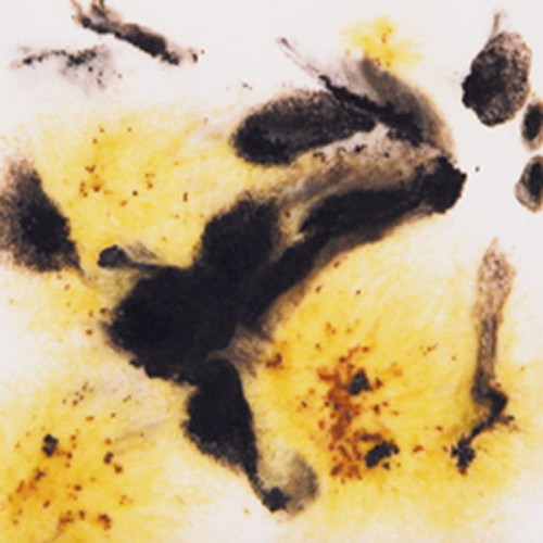 szkliwo krystaliczne Cheetah S 2726